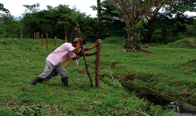 (DENUNCIA) EXCLUSIVO: Se presentan nuevas invasiones de tierras en Urabá